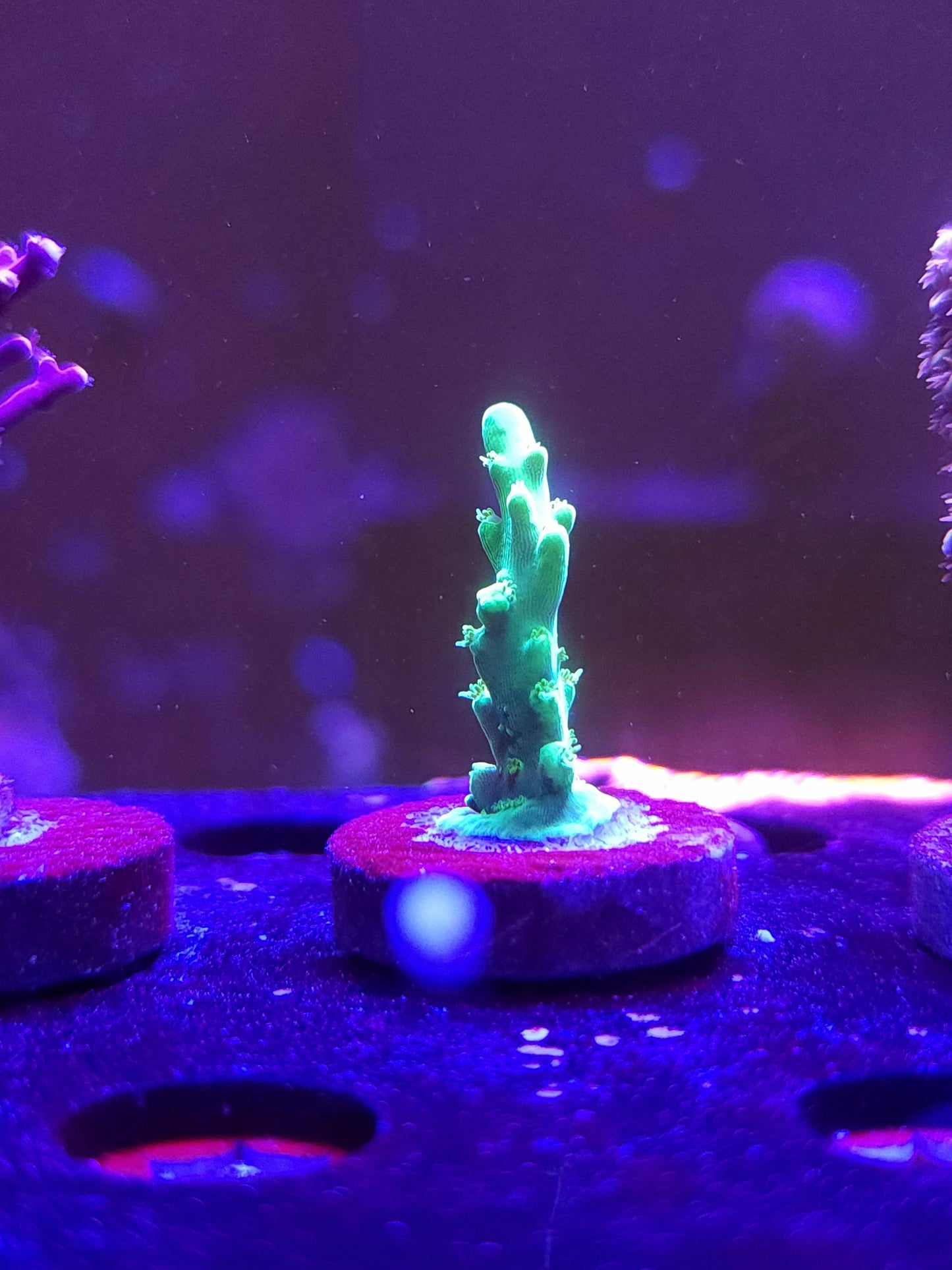 Glow Stick Smooth Skin Acro