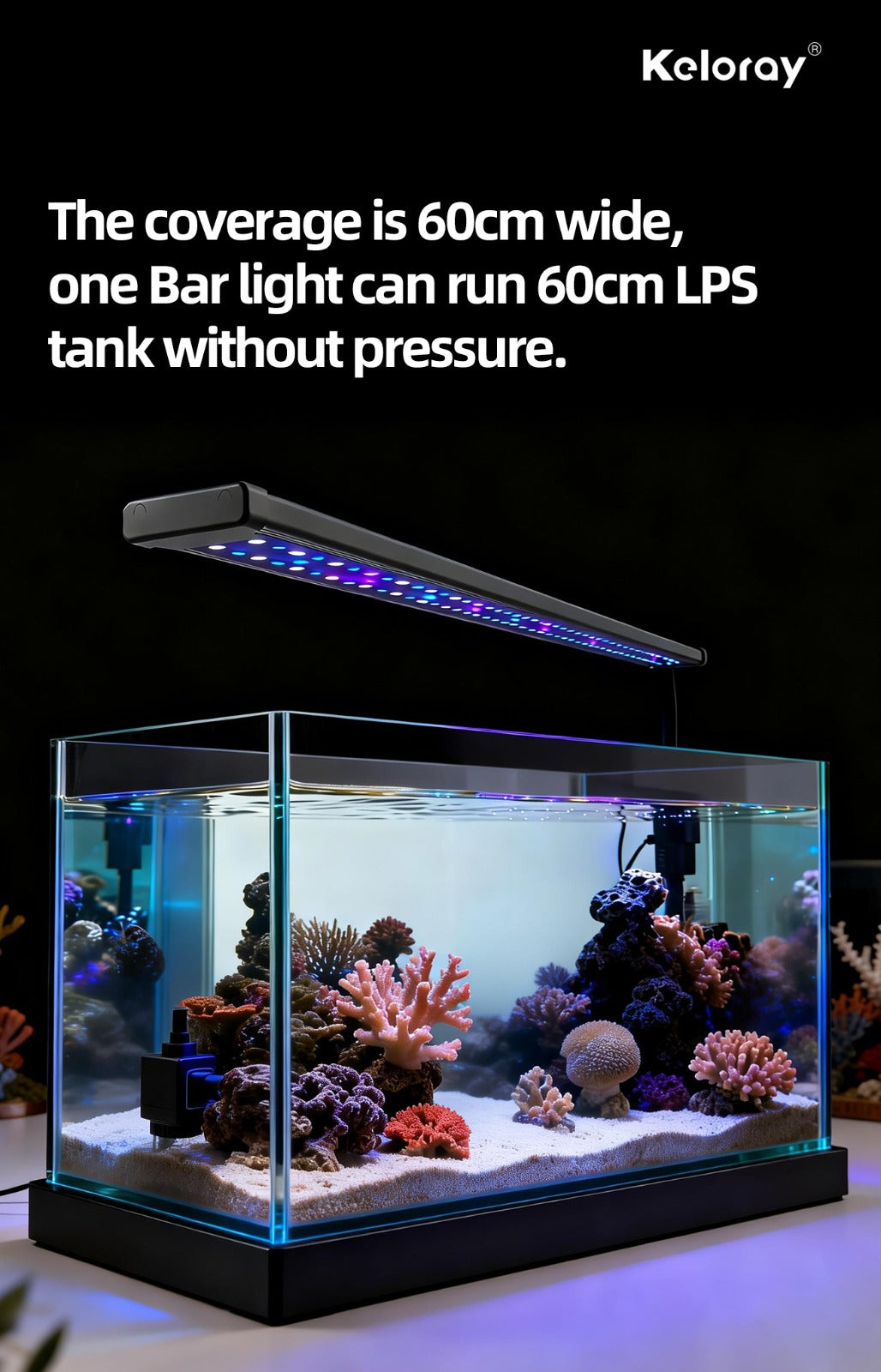 Keloray Bar 60